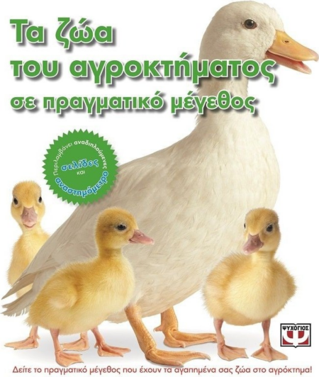 ΤΑ ΖΩΑ ΤΟΥ ΑΓΡΟΚΤΗΜΑΤΟΣ ΣΕ ΠΡΑΓΜΑΤΙΚΟ ΜΕΓΕΘΟΣ
